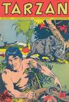 Cover for Tarzan (Pabel Verlag, 1956 series) #104