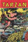 Cover for Tarzan (Pabel Verlag, 1956 series) #107