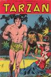 Cover for Tarzan (Pabel Verlag, 1956 series) #108