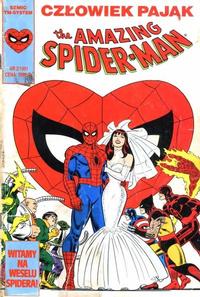 Cover Thumbnail for The Amazing Spider-Man (TM-Semic, 1990 series) #2/1991
