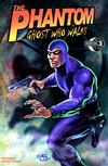 Cover for The Phantom: Ghost Who Walks (Moonstone, 2009 series) #4
