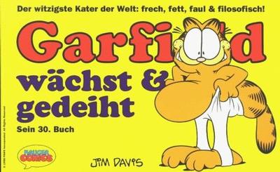 Cover for Garfield (Wolfgang Krüger Verlag, 1984 series) #30