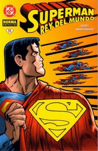 Cover Thumbnail for Superman (NORMA Editorial, 2001 series) #11