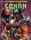 Cover for A Espada Selvagem de Conan (Editora Abril, 1984 series) #3