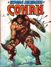Cover for A Espada Selvagem de Conan (Editora Abril, 1984 series) #14