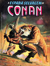 Cover for A Espada Selvagem de Conan (Editora Abril, 1984 series) #15