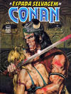 Cover for A Espada Selvagem de Conan (Editora Abril, 1984 series) #19
