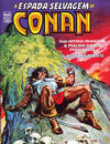 Cover for A Espada Selvagem de Conan (Editora Abril, 1984 series) #20