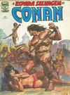 Cover for A Espada Selvagem de Conan (Editora Abril, 1984 series) #24