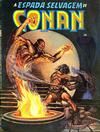 Cover for A Espada Selvagem de Conan (Editora Abril, 1984 series) #28
