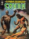 Cover for A Espada Selvagem de Conan (Editora Abril, 1984 series) #29