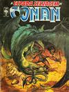 Cover for A Espada Selvagem de Conan (Editora Abril, 1984 series) #30