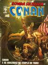 Cover for A Espada Selvagem de Conan (Editora Abril, 1984 series) #33