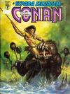 Cover for A Espada Selvagem de Conan (Editora Abril, 1984 series) #45