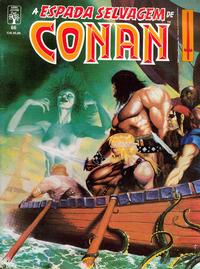 Cover Thumbnail for A Espada Selvagem de Conan (Editora Abril, 1984 series) #66
