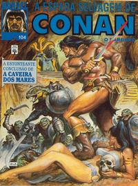 Cover Thumbnail for A Espada Selvagem de Conan (Editora Abril, 1984 series) #104