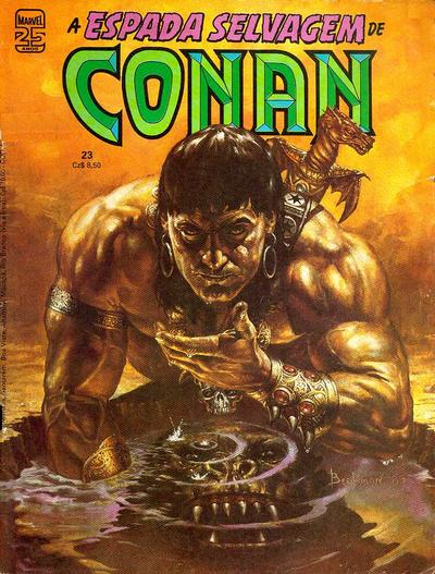 Cover for A Espada Selvagem de Conan (Editora Abril, 1984 series) #23