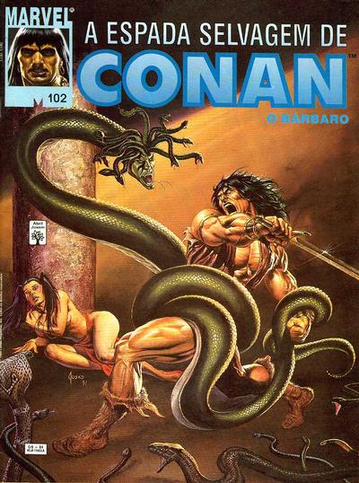Cover for A Espada Selvagem de Conan (Editora Abril, 1984 series) #102