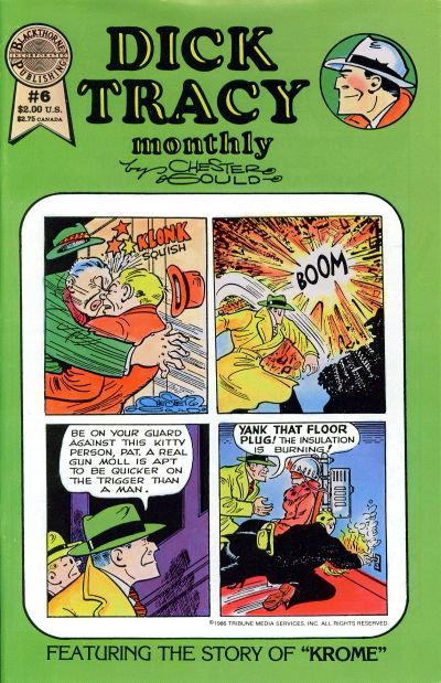 Cover for Dick Tracy Monthly (Blackthorne, 1986 series) #6