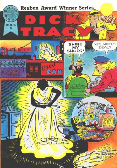 Cover for Dick Tracy (Blackthorne, 1984 series) #9