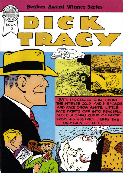 Cover for Dick Tracy (Blackthorne, 1984 series) #13