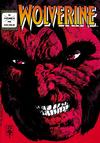 Cover for Wolverine (Editora Abril, 1992 series) #4