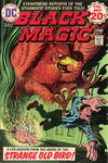 Cover for Black Magic (DC, 1973 series) #5