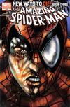 Cover Thumbnail for The Amazing Spider-Man (1999 series) #570 [Variant Edition - Luke Ross Cover]