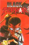 Cover Thumbnail for Black Terror (2008 series) #1 [Alex Ross Cover]