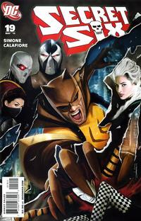 Cover Thumbnail for Secret Six (DC, 2008 series) #19