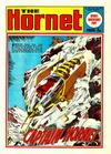 Cover for The Hornet (D.C. Thomson, 1963 series) #538