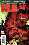 Cover Thumbnail for Hulk (2008 series) #18 [Variant Edition]