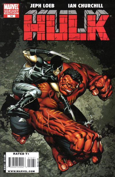 Cover for Hulk (Marvel, 2008 series) #14 [Variant Edition]