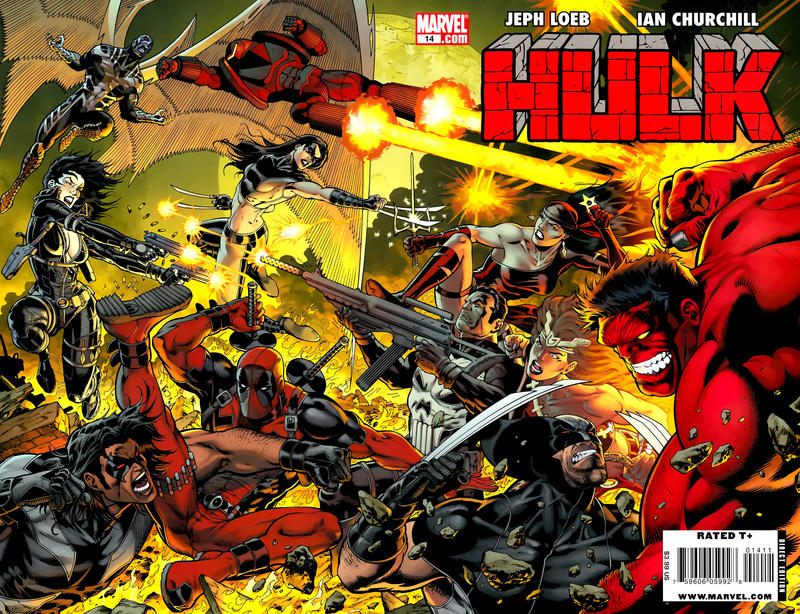 Cover for Hulk (Marvel, 2008 series) #14