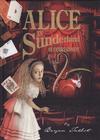 Cover for Alice in Sunderland (Jonathan Cape, 2007 series) #[nn]