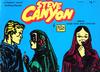 Cover for Steve Canyon (Comic Art Publishing, 1977 series) #4