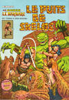 Cover for Conan le Barbare (Arédit-Artima, 1979 series) #12 - Le puits de Skelos
