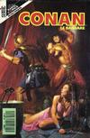 Cover for Conan Le Barbare (Semic S.A., 1990 series) #17