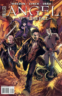 Cover Thumbnail for Angel: After the Fall (IDW, 2007 series) #15 [Cover B]