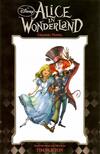 Cover for Alice in Wonderland (Boom! Studios, 2010 series) #[nn]