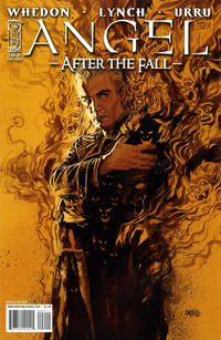 Cover Thumbnail for Angel: After the Fall (IDW, 2007 series) #2 [Tony Harris Cover]