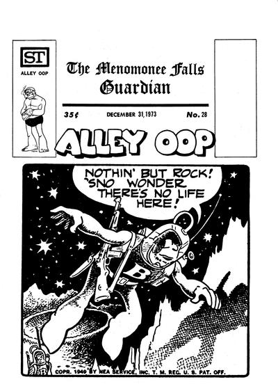 Cover for The Menomonee Falls Guardian (Street Enterprises, 1973 series) #28