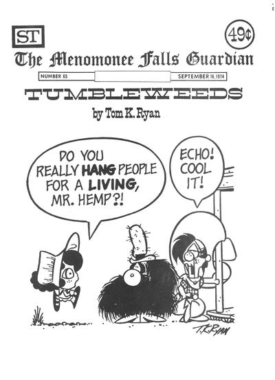 Cover for The Menomonee Falls Guardian (Street Enterprises, 1973 series) #65