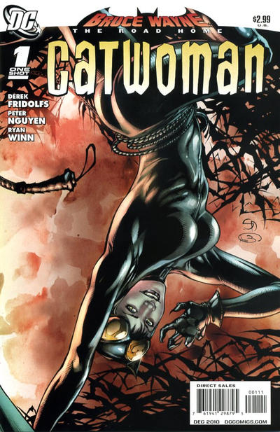 Cover for Bruce Wayne: The Road Home: Catwoman (DC, 2010 series) #1