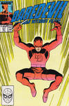 Cover Thumbnail for Daredevil (1964 series) #271 [Direct]