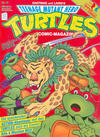 Cover for Teenage Mutant Hero Turtles (Condor, 1990 series) #14