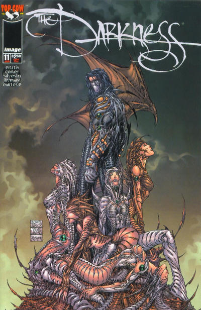 Cover for The Darkness (Image, 1996 series) #11 [Michael Turner Variant]