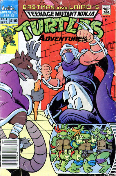 Cover for Teenage Mutant Ninja Turtles Adventures (Archie, 1989 series) #4 [Newsstand]
