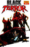 Cover Thumbnail for Black Terror (2008 series) #12 [Cover B - Stephen Sadowski]