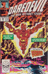 Cover for Daredevil (Marvel, 1964 series) #261 [Direct]